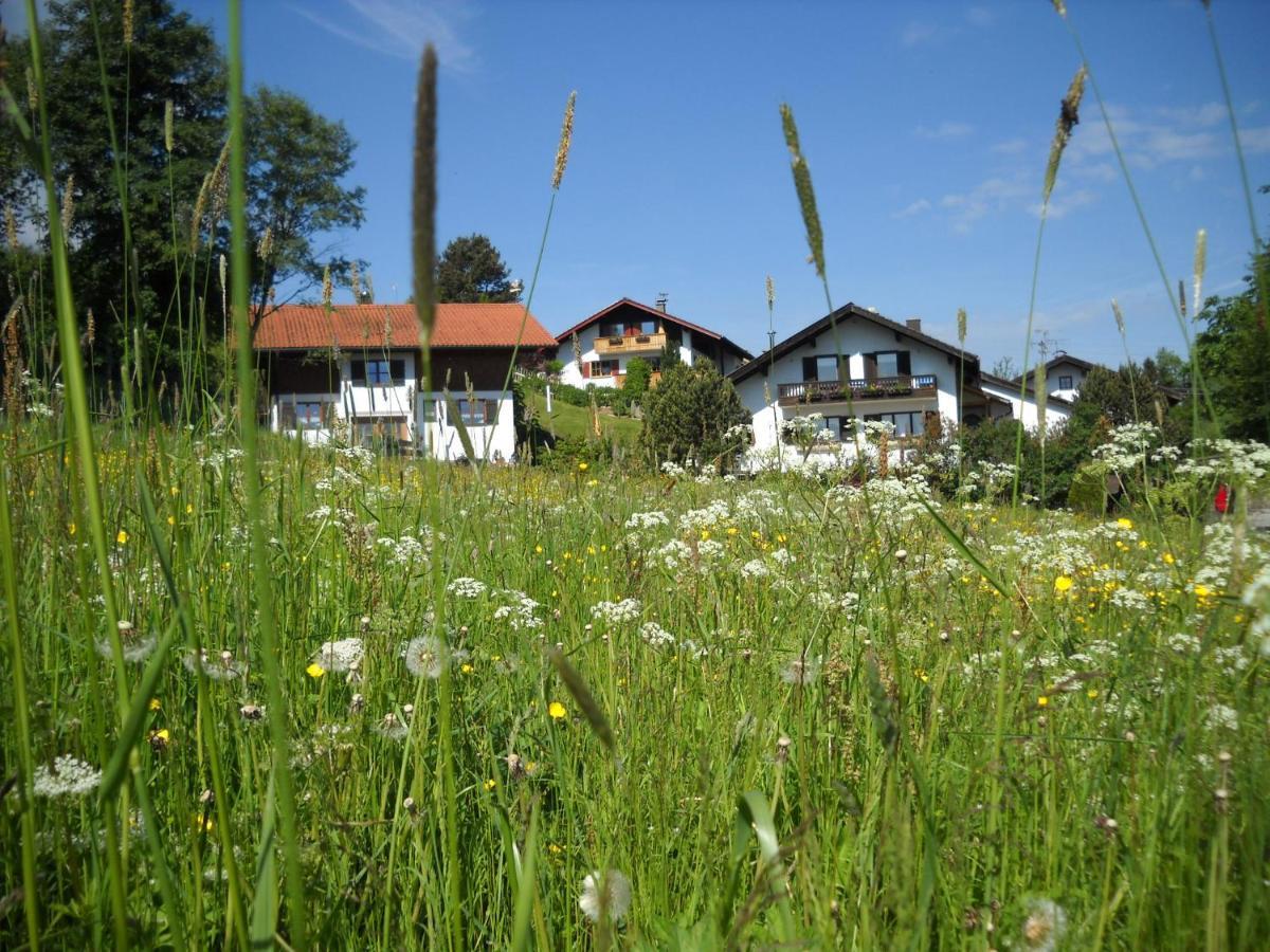 Appartamento Im- Oberland - Berg - Koenigscard Bad Kohlgrub Esterno foto