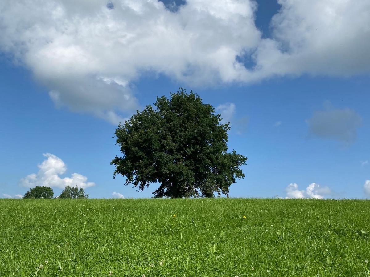 Appartamento Im- Oberland - Berg - Koenigscard Bad Kohlgrub Esterno foto