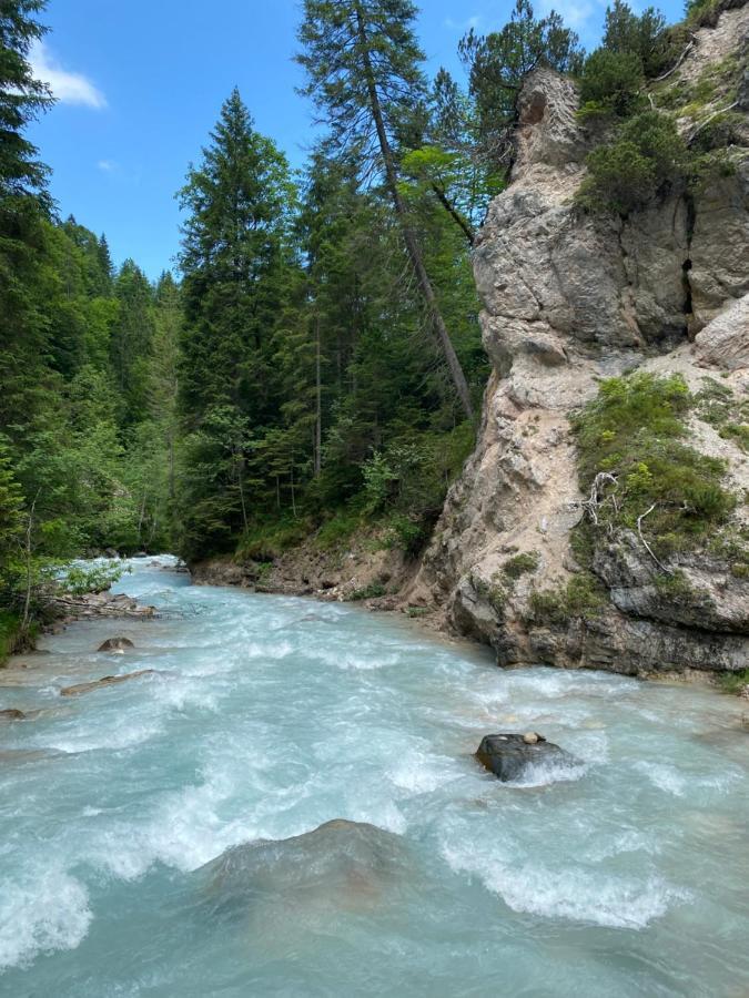 Appartamento Im- Oberland - Berg - Koenigscard Bad Kohlgrub Esterno foto