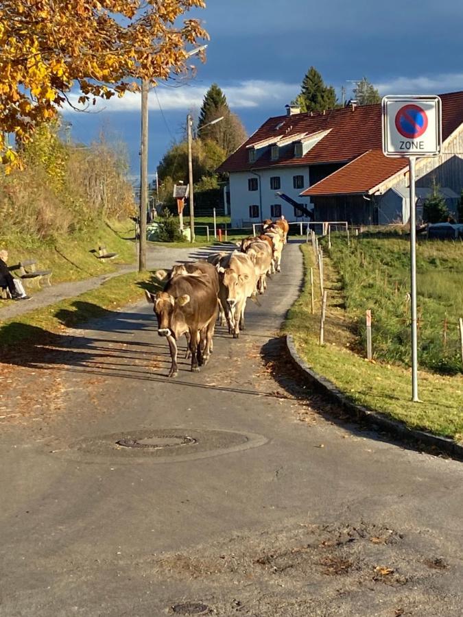 Appartamento Im- Oberland - Berg - Koenigscard Bad Kohlgrub Esterno foto